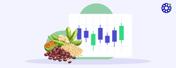 What is NCDEX?