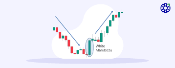 Understanding the White Marubozu Candlestick