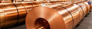 Hindustan Copper OFS opens for retail investors: key details