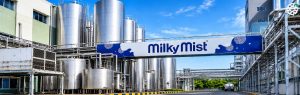 Milky Mist IPO Allotment Today: Check Status, GMP & Listing Date